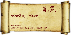 Mészöly Péter névjegykártya